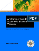 Anatomia e Vias de Acesso Do Sistema Vascular