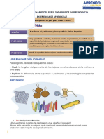 Matematica 26-11-2021 - Clara