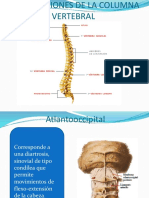 Articulaciones Generalidades 2020