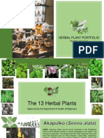 Herbal Plant Portfolio