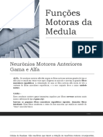 Funções Motoras Da Medula