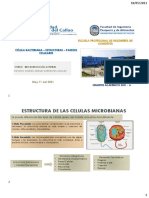 Cap 02 Célula Bacteriana - Estructuras