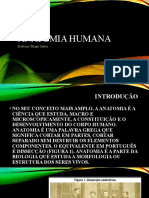 Anatomia Humana 01