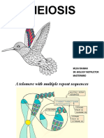 Meiosis: Milka Rahman Sr. Biology Instructor Mastermind