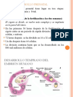 Etapa Prenatal, Infancia y Primeros Pasos