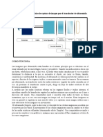 BIO 2 - Parte 2