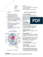 MC3 Lec 2 Microbial Cell Structure