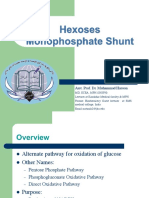 Hexoses Monophosphate Shunt