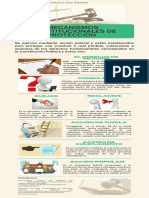 Infografía Mecanismos Constitucionales de Protección