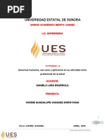 Derechos Humanos, Sus Usos y Aplicación en Su Actividad Como Profesional de La Salud