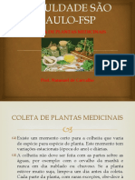 Coletas de Plantas Medicinais - Aula