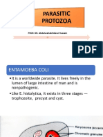 Protozoa