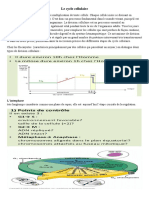 Cycle Cellulaire