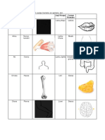 Las Principales Partes Del Cuerpo Humano en Aymara