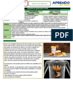 Titulo: Indagamos Sobre Los Alimentos Que Contienen Mayor Cantidad de Almidón