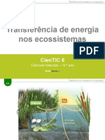 Transferência de Energia Nos Ecossistemas