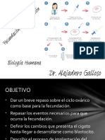 Fecundacin, Segmentacin e Implantacin