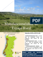 Multifuncionalidade Do Espaço Rural