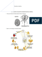 Atividade Parasitologia