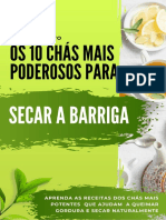 Os 10 Chás Mais Poderosos para Secar A Barriga - Ebook GRATUITO