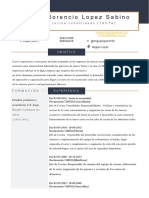 Curriculum Vitae de Miguel Lopez