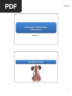 6-Patologia Abdominal (Feito)