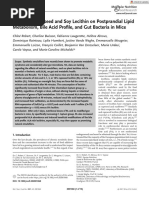 Impact of Rapeseed and Soy Lecithin On Postprandial Lipid Metabolism, Bile Acid Profile, and Gut Bacteria in Mice