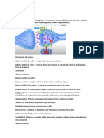 Antiepilepticos