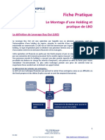 Pratique de Lbo Et Montage de Holding