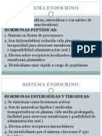 Fisiologia Del Sistema Endocrino Fisioterapia