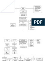 Pathophysiology of ALL (Diagram)