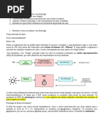 Tutoria 2 - Ritmo Circadiano