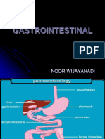 Obat Gastrointestinal