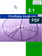 2.1 Portfolio Analysis