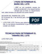 Técnicas Tamaño Del Lote