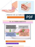 Periodo de Alumbramiento