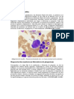 Segunda Parte-Megacariopoyesis