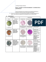 Informe Microbiologia #4