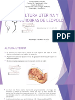 Altura Uterina Practica Prenatal