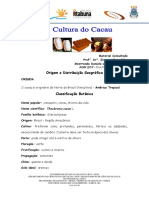 Cultura Cacau