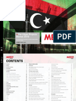 FINAL Libya Report