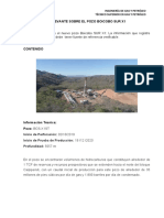 INFORMACIÓN RELEVANTE SOBRE EL POZO BOICOBO SUR X1 - N