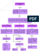 Mapa Conceptual