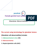 Female Genital Tract Cytopathology: Practical