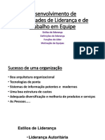 Desenvolvimento de Capacidades de Liderança e de Trabalho