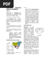 Ginecología Primer Parcial - IMPRIMIR