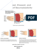 The Past, Present and Future of Neuroplasticity