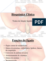 Aula 10 - Função Hepática