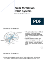 Reticular Formation Limbic System 2021