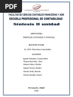 Sintesis Ii Unidad Peritaje Contable